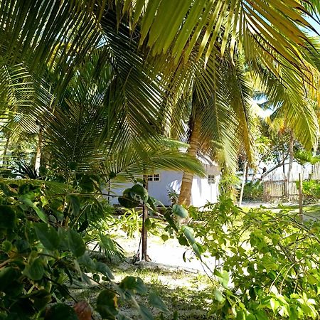 Chez Gigi - Eco Lodge マアウアル エクステリア 写真