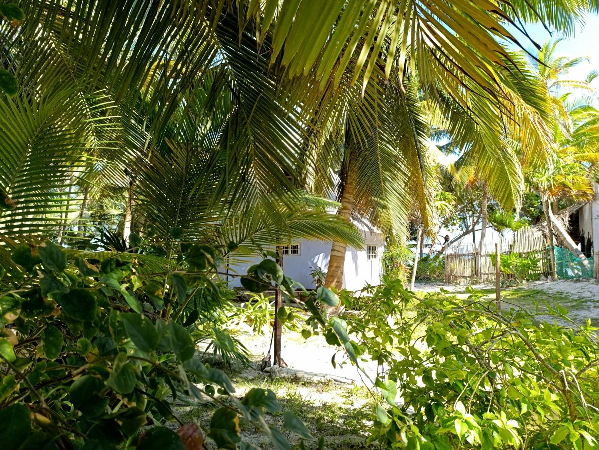 Chez Gigi - Eco Lodge マアウアル エクステリア 写真
