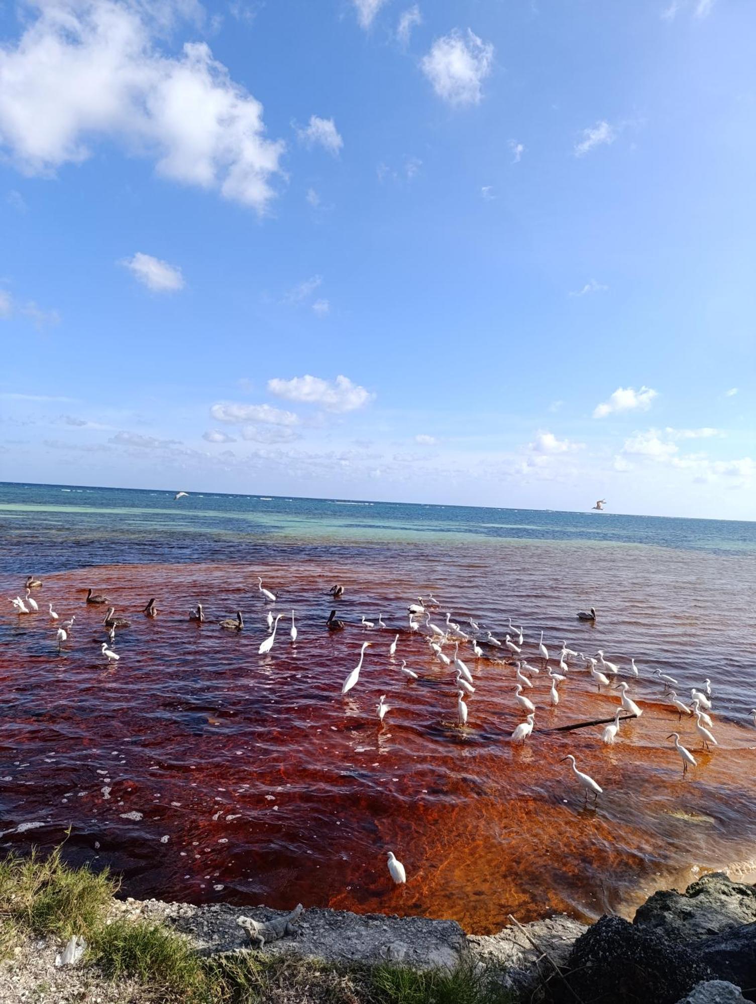 Chez Gigi - Eco Lodge マアウアル エクステリア 写真