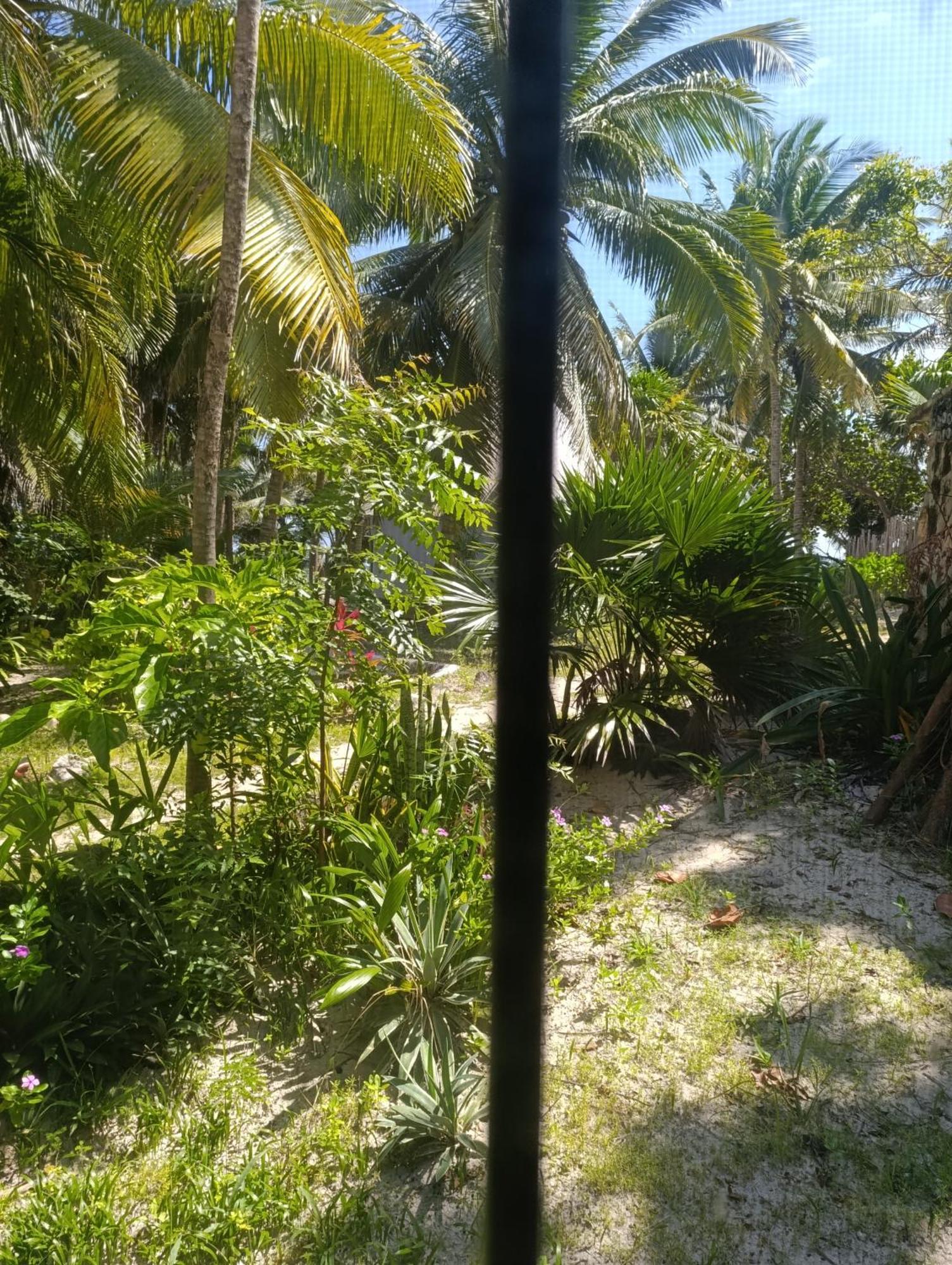 Chez Gigi - Eco Lodge マアウアル エクステリア 写真