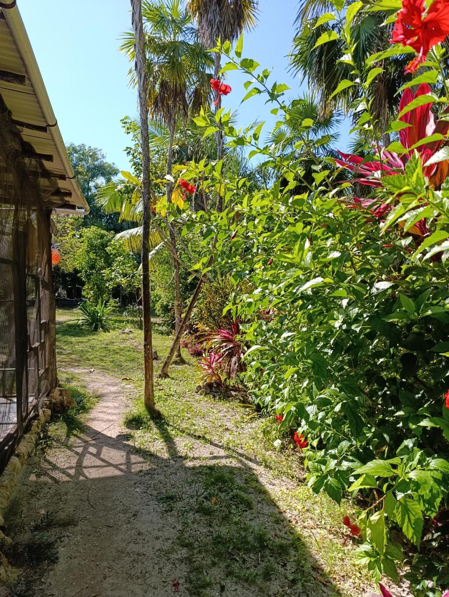 Chez Gigi - Eco Lodge マアウアル エクステリア 写真