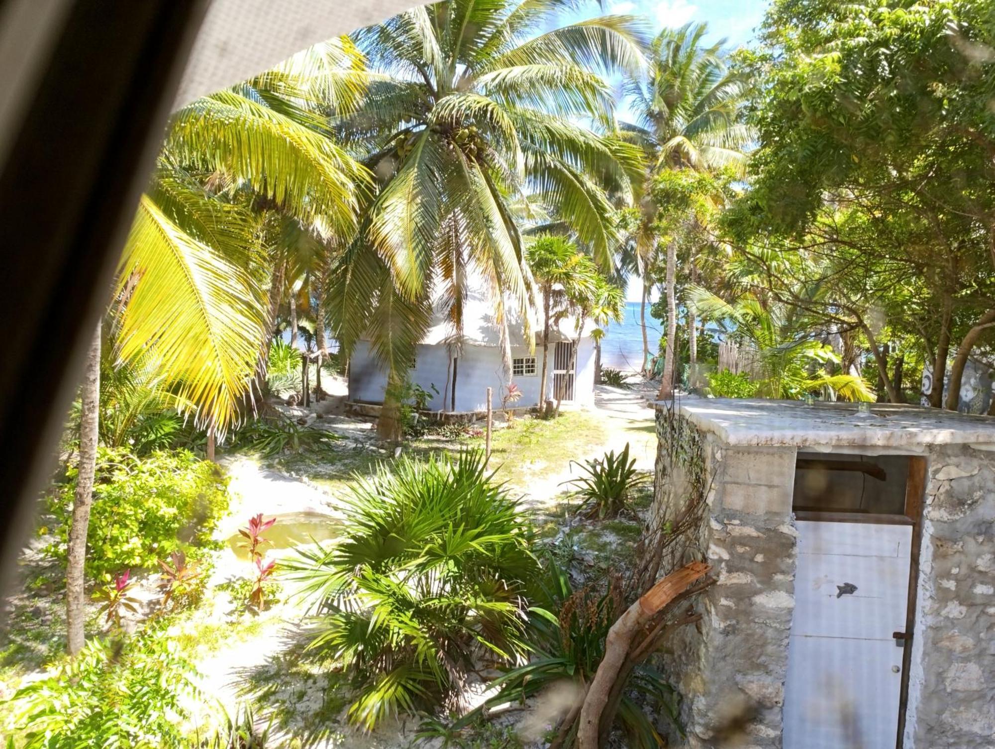 Chez Gigi - Eco Lodge マアウアル エクステリア 写真